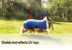 Derby Originals Hydro Cooling Dog Jacket with Harness Compatible Opening, Reflects Heat & Keeps Dogs Cool for up to 10 Hours
